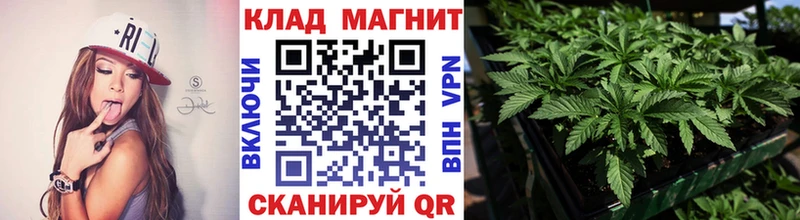 Все наркотики Александровск кракен ONION  Мефедрон  А ПВП  ГАШ  Кокаин  Бошки Шишки 
