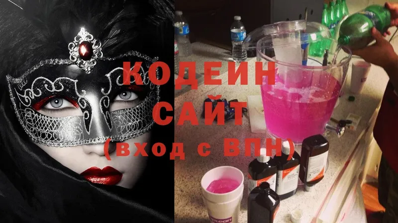 купить наркотики цена  MEGA ССЫЛКА  Кодеиновый сироп Lean Purple Drank  Александровск 