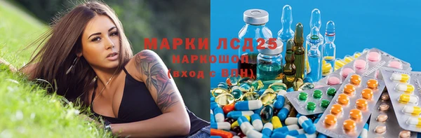 шишки Осинники