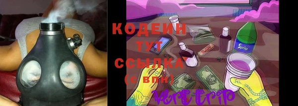 шишки Осинники