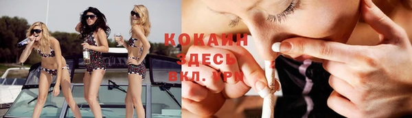 тгк Осташков