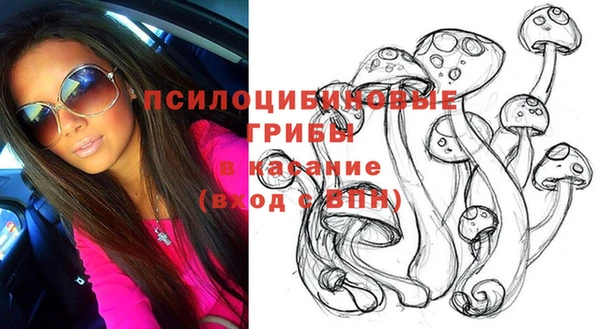 spice Струнино