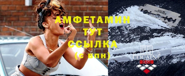 шишки Осинники