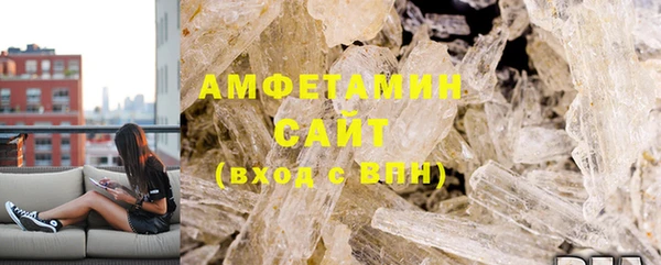 шишки Осинники