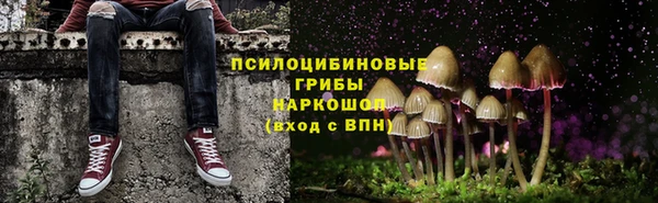 шишки Осинники