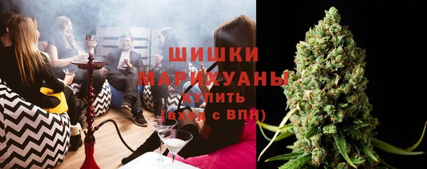 шишки Осинники