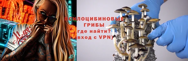 шишки Осинники