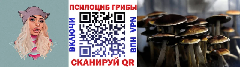 Галлюциногенные грибы MAGIC MUSHROOMS darknet официальный сайт Александровск